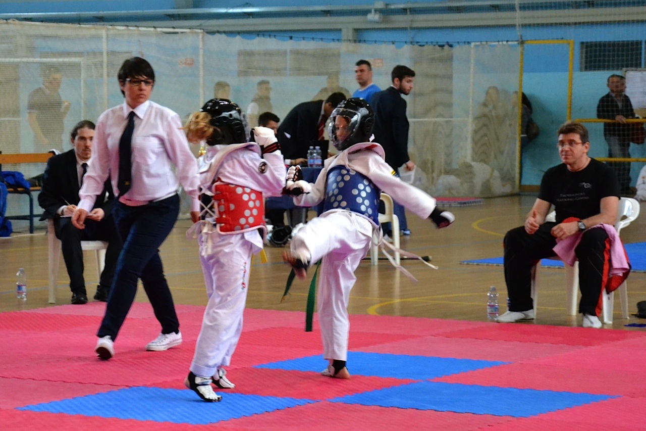 Taekwondo Hwasong - Pavia